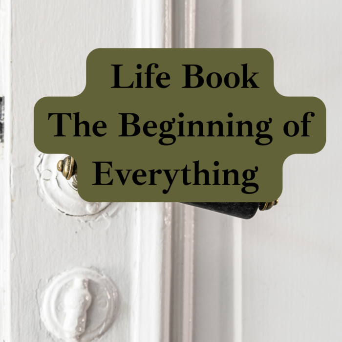 Life Book "The Beginning of Everything"